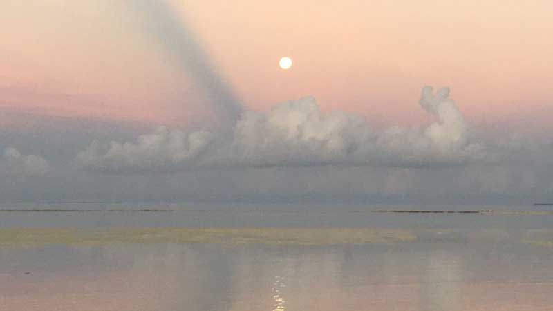 Mein Heilungslied 'Let The Healing Be'